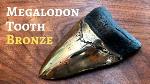 fossil-megalodon-tooth-kug